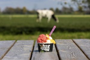 Beroemdheden Boerderijwinkel bij Rotterdam met verse zuivelproducten van Melkveebedrijf Commijs in Hoeksche Waard